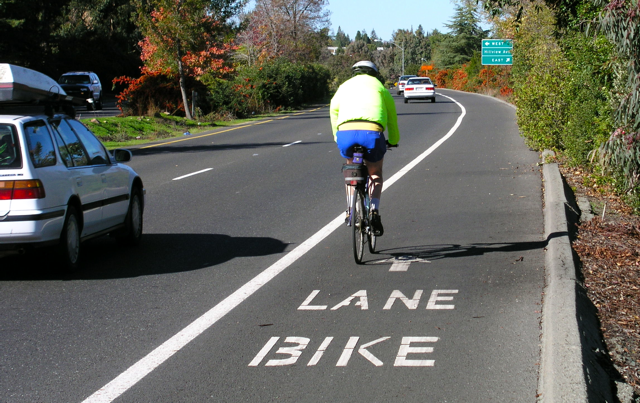 photo of a person bicycling in a bike lane next to traffic