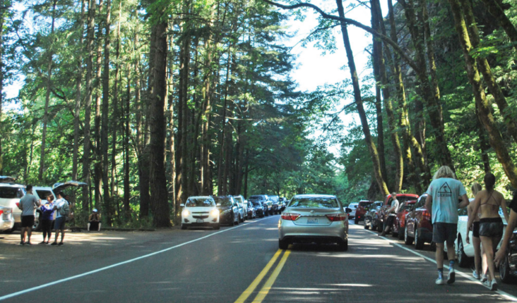 A view down the Historic Columbia River Highway showing cars parked bumper to bumper on both sides of the highway and pedestrians walking along the highway to and from their cars, surrounded by trees.