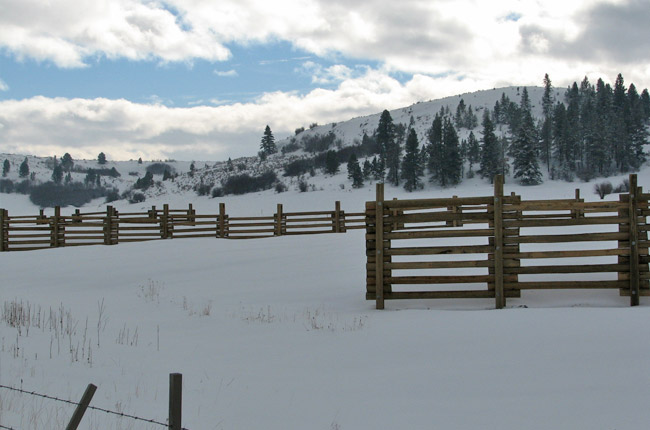 Snow fencing.
