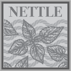 Image of concrete impression of nettle plant.