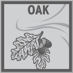 Image of concrete impression of a oak leaves.