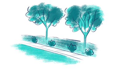 Drawing: trees and plants