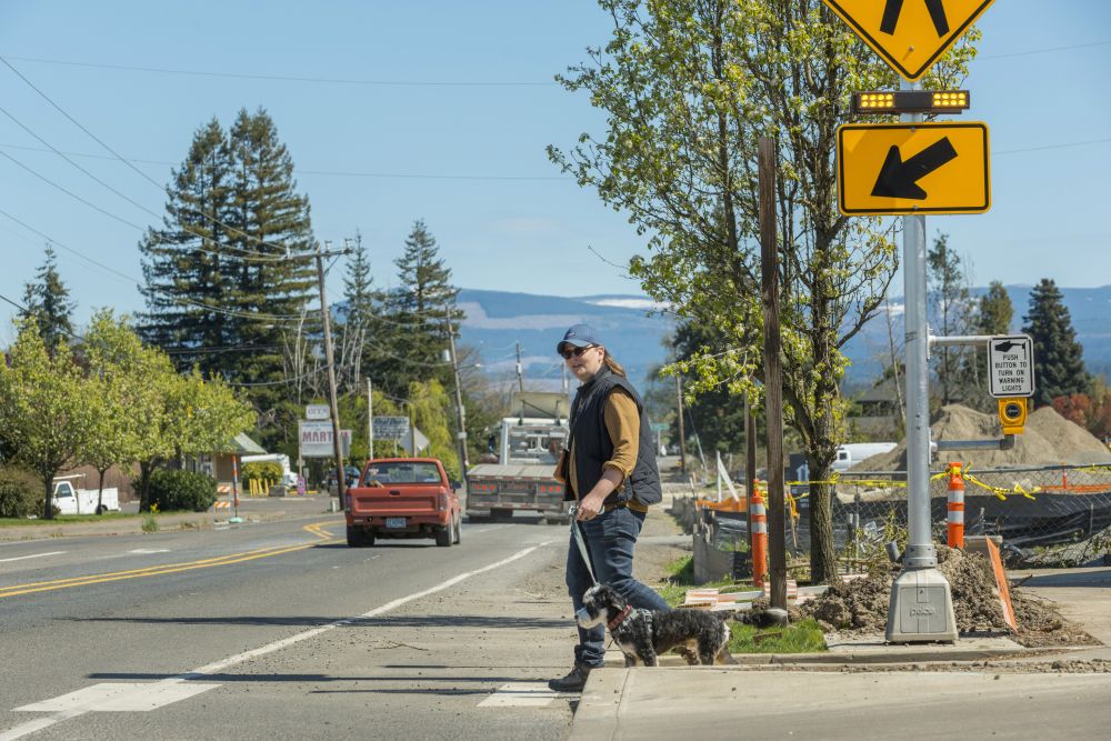 photo showing a rectangular rapid flashing beacon and a person walking their dog crossing the street